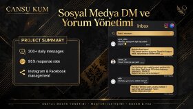 Sosyal Medya DM ve Yorum Yönetimi - 200+ Günlük Mesaj