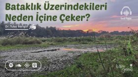 Tübitak Bilim Genç