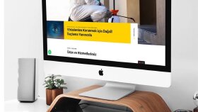 Profesyonel Web Sitesi Tasarımı
