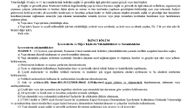 sunum yaparım