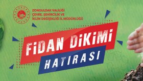 Afiş Tasarımları