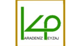 firmanıza özel logo tasarlıyorum