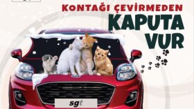 Broşür tasarımı