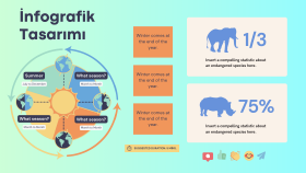 kolayca anlaşılabilen ve profesyonel infografik yapabilirim