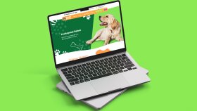kopegimbutik.com web sitesi projesi