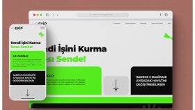 Web Tasarım