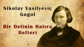 Bir Delinin Hatıra Defteri