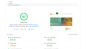 Wordpress Hız Optimizasyonu
