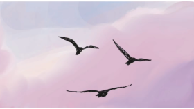 Procreate ile 2D animasyonlar yapabilirim