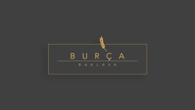 Örnek Logo Tasarımlarım