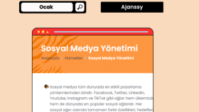 Reklam Ajansı - Sosyal Medya Yönetimi - 2023
