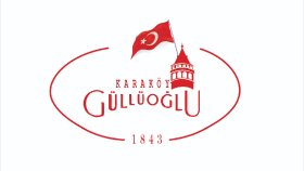 karşı tarafın istediği şekilde profesyonel logo tasarlarım