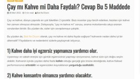 Web Sitesi İçeriği Örnekleri