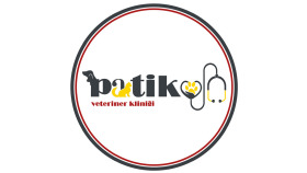istediğiniz kriterlerde logo tasarımı yapabilirim