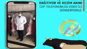 Video Düzenleme