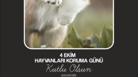 Sosyal Medya-Özel gün post tasarımı