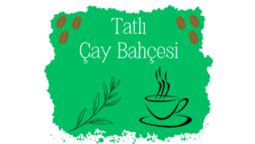 logo tasarımı yapıyorum