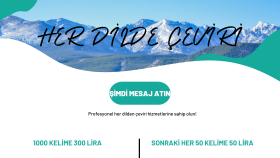 her dilden her dile çeviri yapabilirim