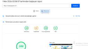 Site hızı 100 :)