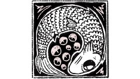 Ex libris tasarımı