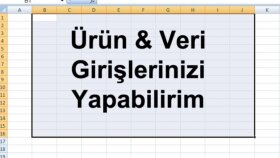 e-ticaret ve web siteniz için veri girişlerinizi yaparım
