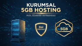 18 yıldır kurumsal hosting sağlıyorum