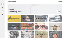 react, typscript ,css,next js  ile proje yapabilirim