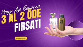 Banner- Mailing- Reklam