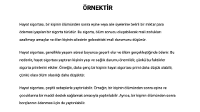 Örnek SEO Uyumlu Makaleler