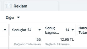 Uygulama Reklam Kampanyası | Günlük 60tl 10 Günde 55 İndirme