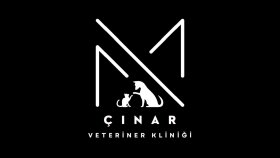hayallerinizi çarpıcı logo tasarımlarına dönüştürürüm