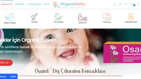 wordpress sitenize e-fatura entegrasyonu yapabilirim