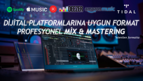 yaptığınız bir şarkıyı profesyonel olarak mixleyebilirim