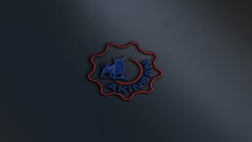 sizler için profesyonel logo tasarlayabilirim