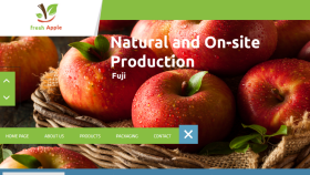 Fresh Apple Turkey | Web Sayfası ve Seo Çalışması