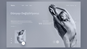 Model Ajansı – WordPress Web Sitesi