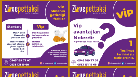Zirve Pet Taksi Sosyal Medya Tasarımları