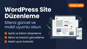 web sitesi kuruyorum, düzenliyorum ve takibini yapıyorum
