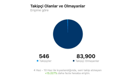 6 Günde 80.000 Niş Lokasyonda Trafik Çekmek