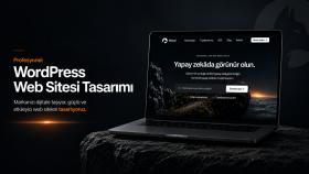 size özel Wordpress Web sitesi ve SEO çalışması yapabilirim