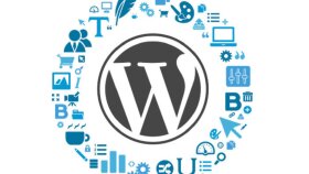 Wordpress üzerinde yaşadığınız sorunlara çözüm bulabilirim
