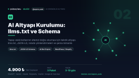  sitenizin yapay zeka ve şema altyapısını kurarım