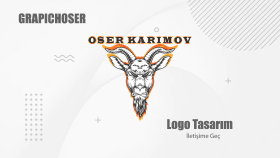 markanıza uygun profesyonel logo tasarımı yaparım
