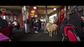 Vuslat Derneği - Kurban Bayramı Filmi 2026!