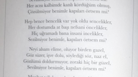 kitap dizgi işleminizi yapabilirim