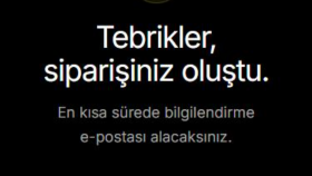 Profesyonel Web Sitesi Geliştirme