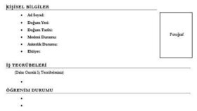 işe alım odaklı CV düzenlerim