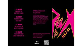 Punk müzik festivali broşür tasarımı