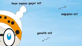 Çocuk kitabı ve karakter tasarımı