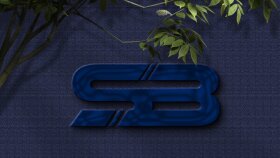 sizi anlatan profesyonel bir logo yapabilirim